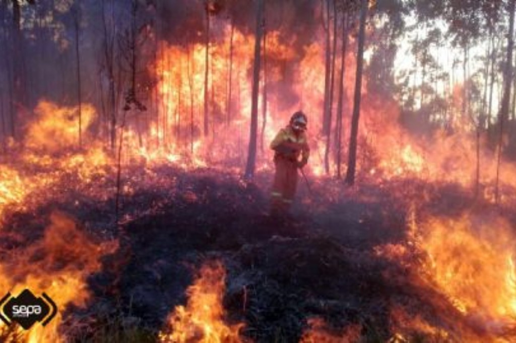 Un incendio forestal en Llanes